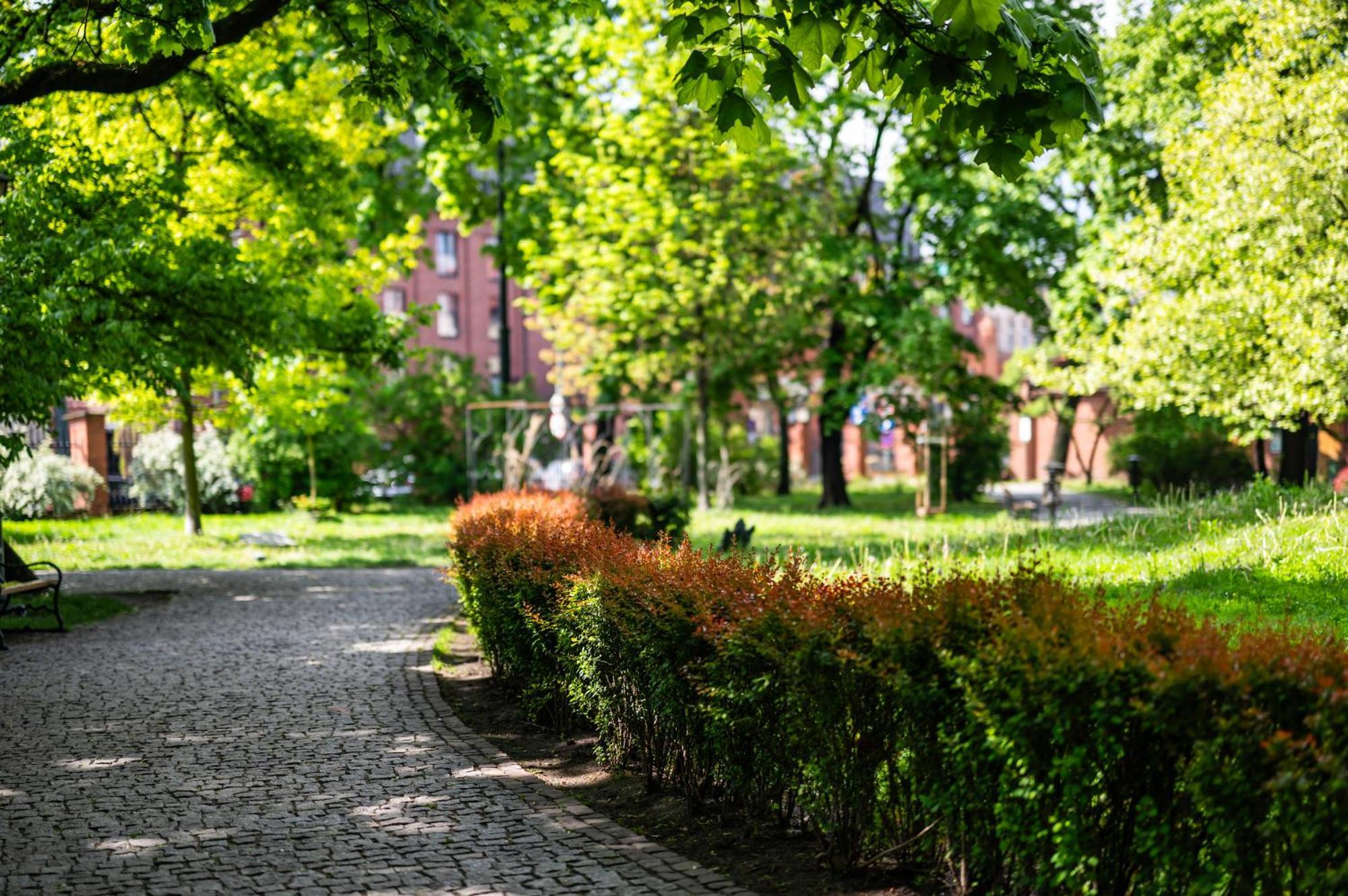 Апартаменти Rimini Moxy Te&Am Cracow Краків Екстер'єр фото
